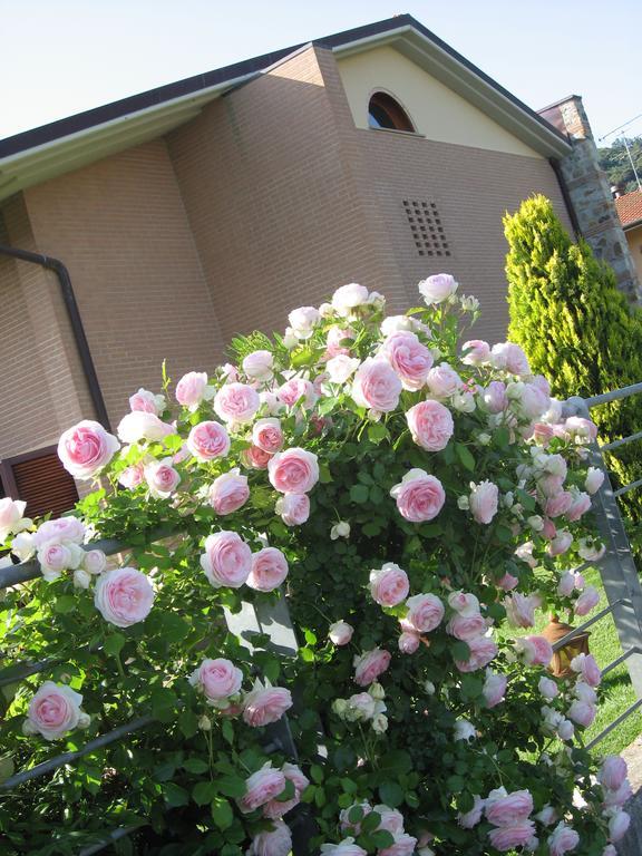 Bed And Breakfast Zia Calci Esterno foto